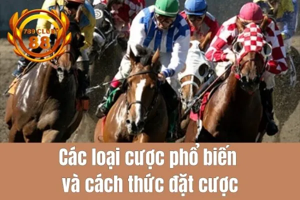 Bí quyết chọn ngựa thắng cuộc tại 789club