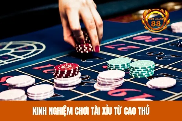 Kinh nghiệm chơi tài xỉu từ cao thủ